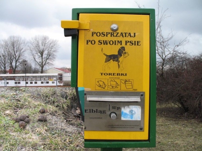 Kampania 