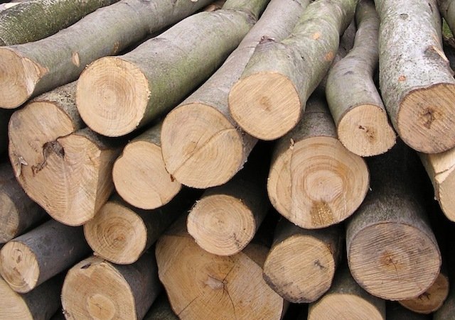Będą protestować przewoźnicy drewna. Chcą podwyżek