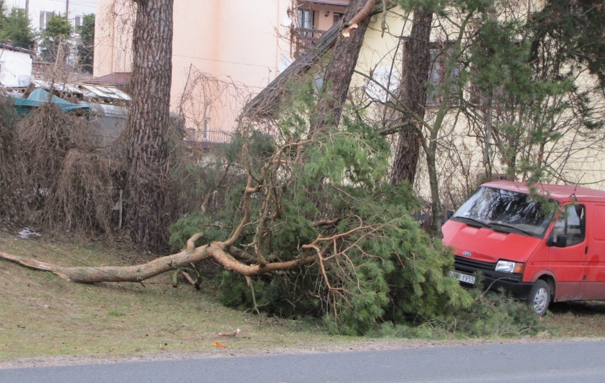 Będzie silnie wiało