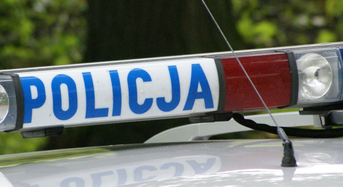Jazda z 3 promilami zakończyła się na przydrożnym drzewie