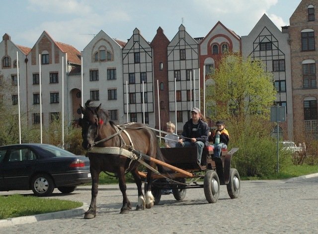 Centrum wiejskie Elbląg?