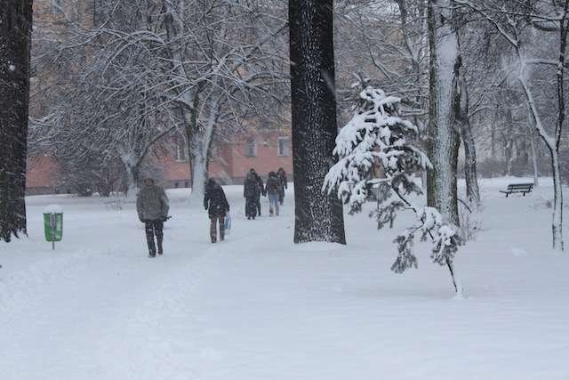 Wraca zima. Śnieg, zawieje i zamiecie