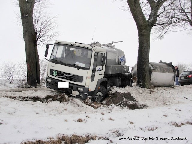 Kupin: Mleczarka uderzyła w drzewo