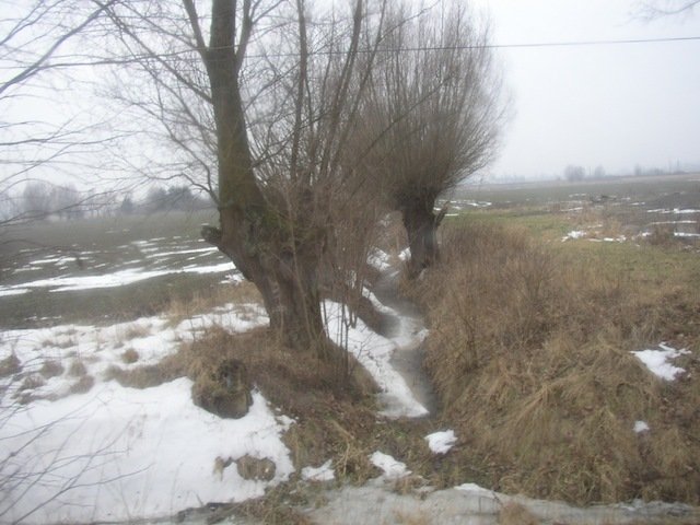 Poziom wody na Balewce nie podnosi się