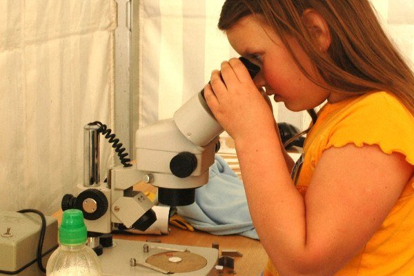 Festiwal Nauki i Techniki w Szkole Podstawowej nr 16