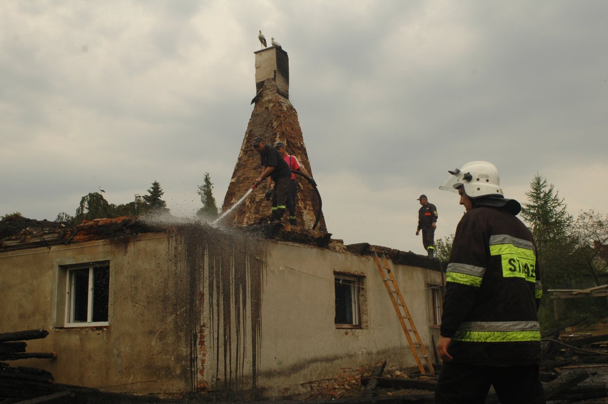Zostały tylko  bociany na kominie