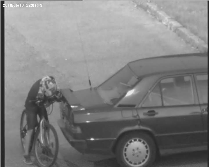 Trzech dwunastolatków z Pasłęka zrywało loga samochodowe