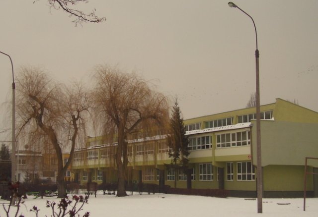 Szkoła Podstawowa nr 19 wprowadza klasę z rozszerzoną ilością godzin wychowania fizycznego