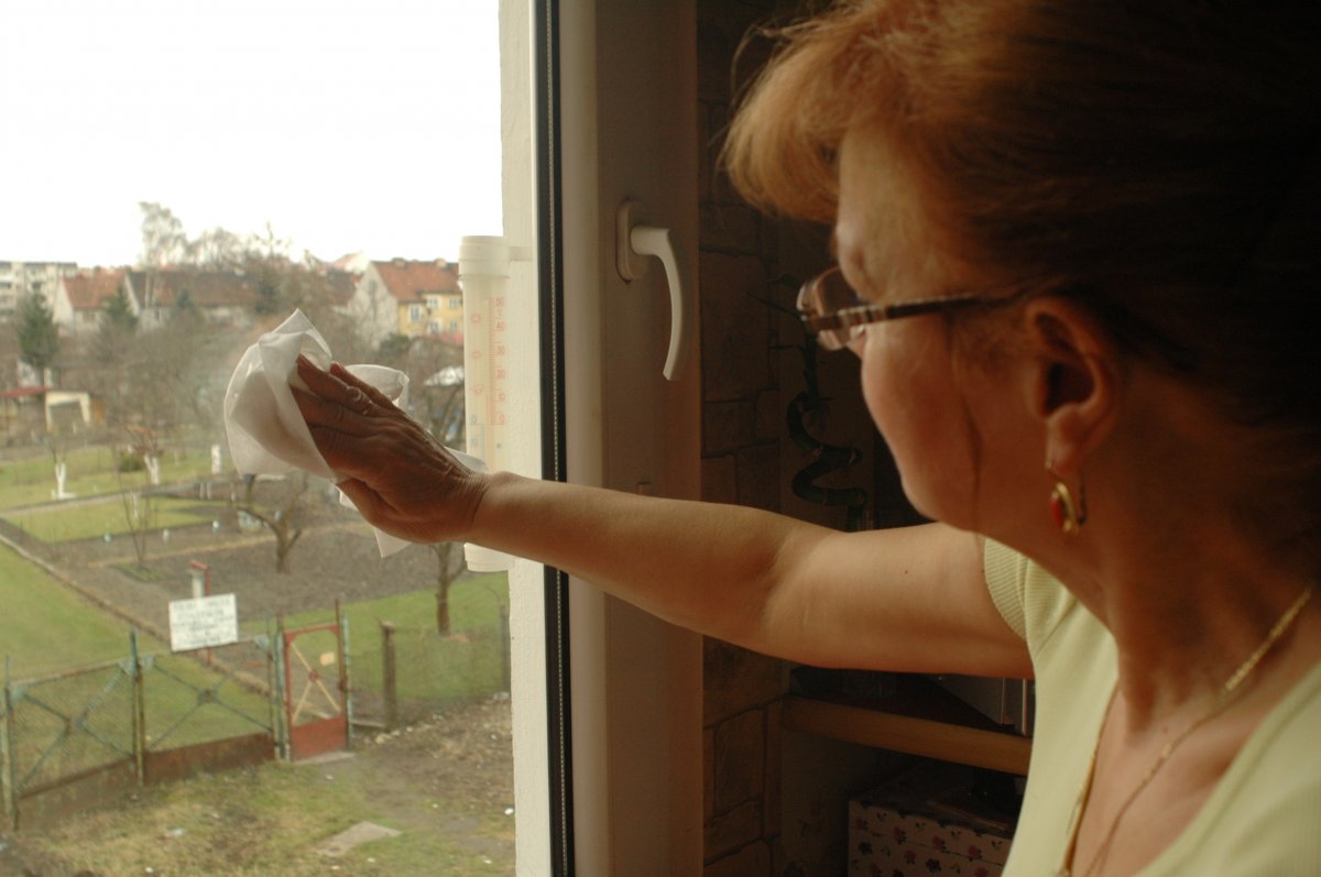 Elblążanie szykują się do świąt 