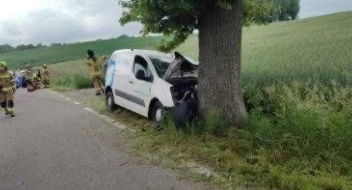 Trzy osoby poszkodowane po uderzeniu w drzewo
