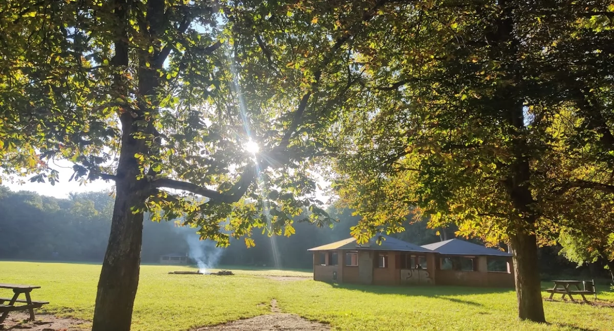 „W Krainie Buka” – piknik edukacyjny w Bażantarni