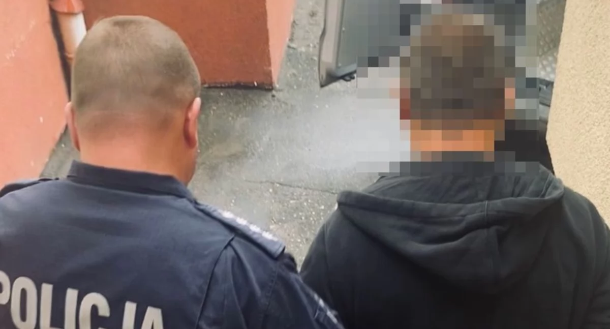  Ciało na przystanku w Sztutowie. Podejrzany trafił do aresztu
