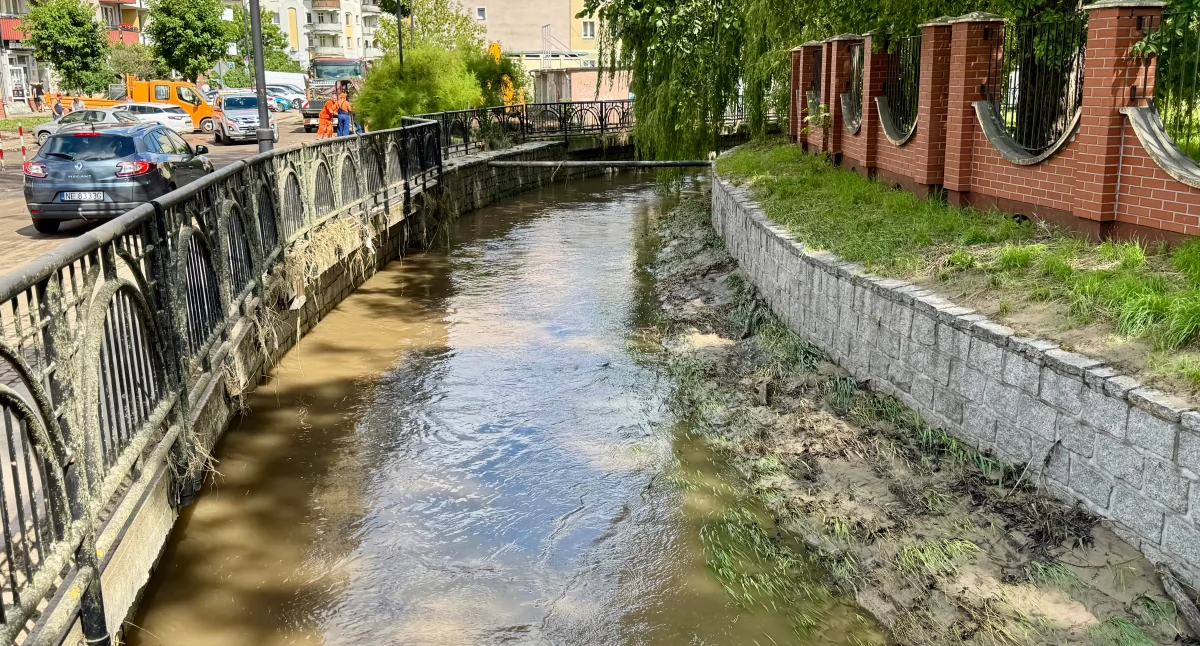 Kumiela pod stałym nadzorem