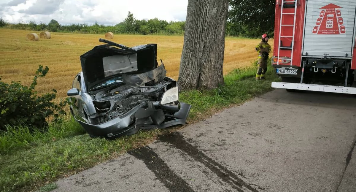 Opel Vectra uderzył w drzewo. 10-latek przewieziony do szpitala