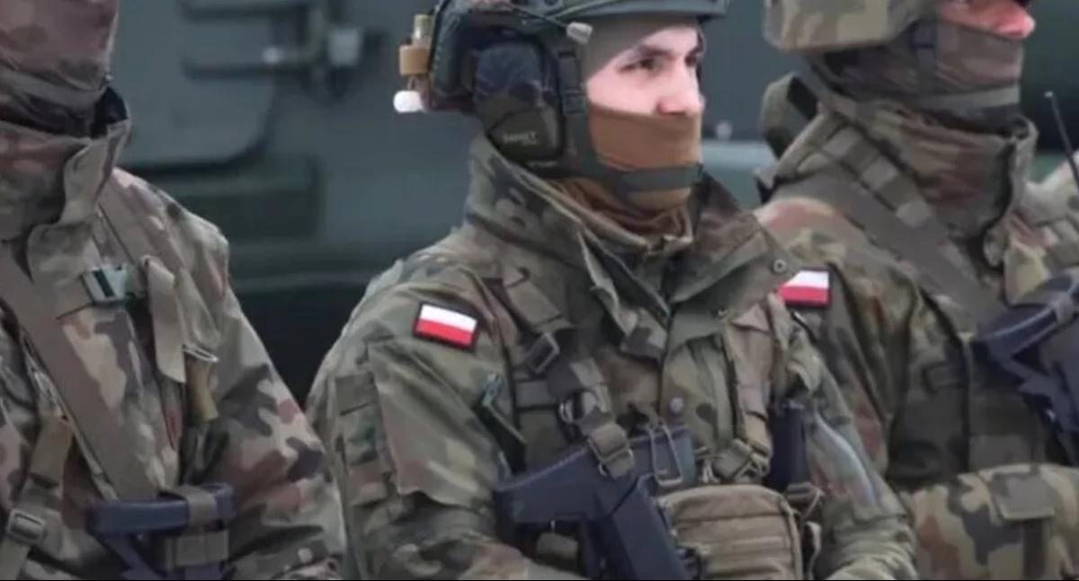 Polska przygotowuje się do wojny  z Niemcami? Kto tak twierdzi?