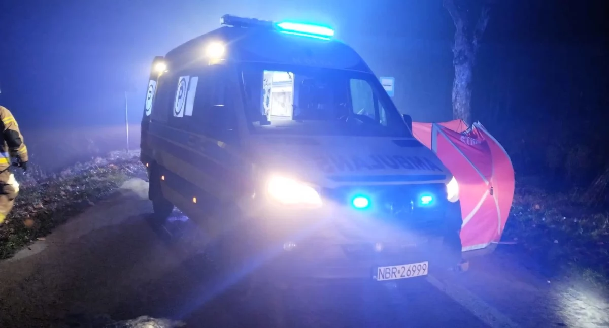 Śmiertelny wypadek pod Lelkowem