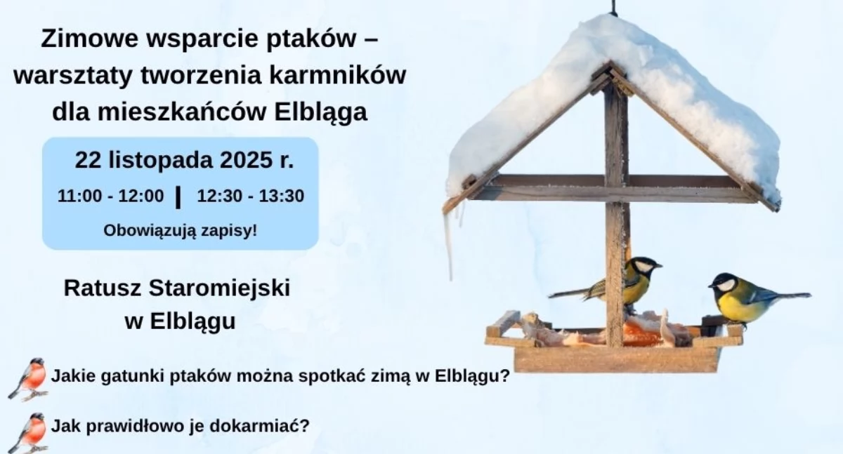 Zrób karmnik dla ptaków. Rodzinne warsztaty w Ratuszu Staromiejskim