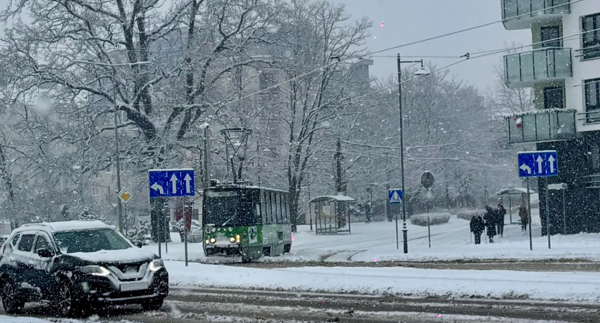 Nowy cennik, nowe bilety, nowe zniżki