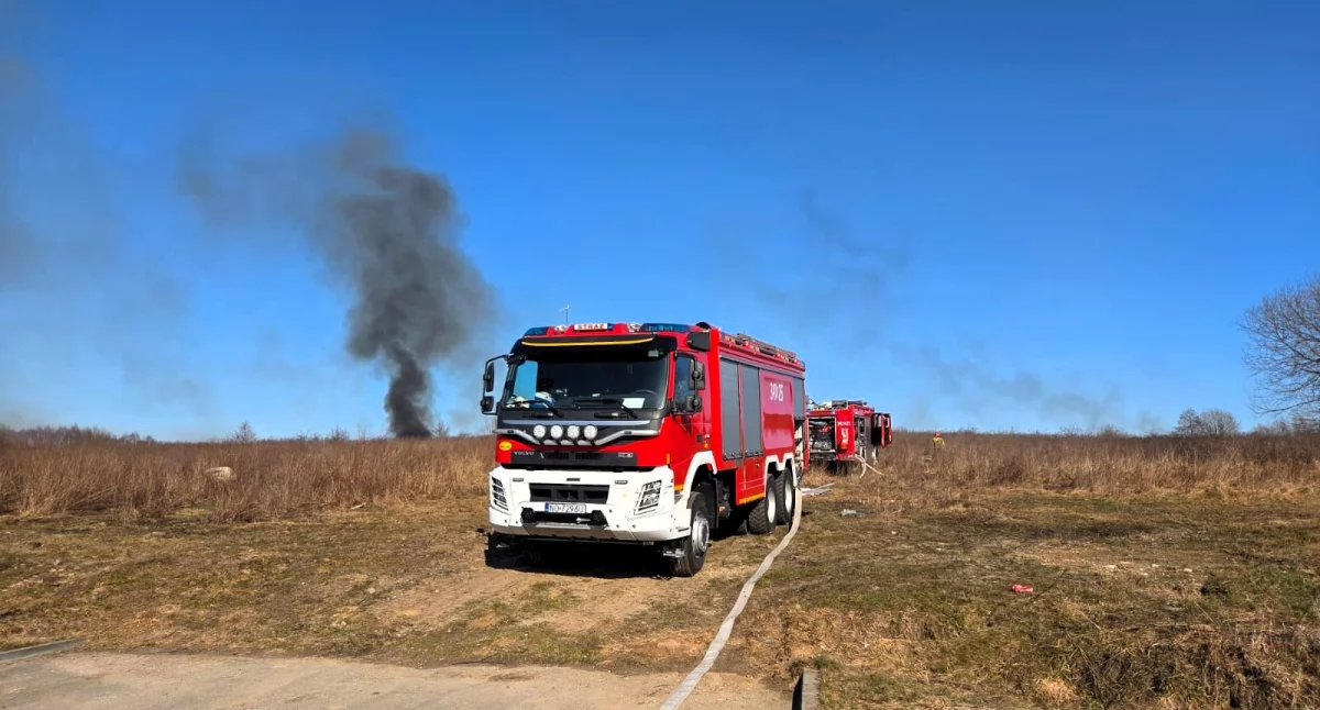 30 strażaków gasiło pożar traw przy ul. Łęczyckiej
