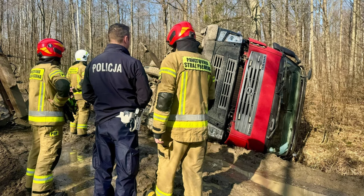Ciężarówka z drewnem przewróciła się w lesie