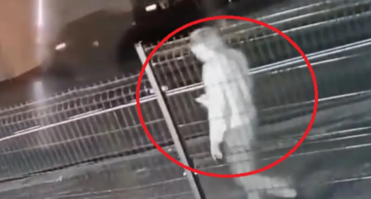 Policja szuka tej kobiety! Rozpoznajesz ją? [VIDEO]