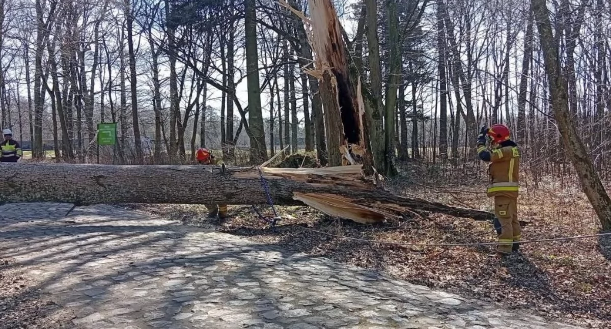 Pogoda nie odpuszcza. Alert dla Elbląga i regionu