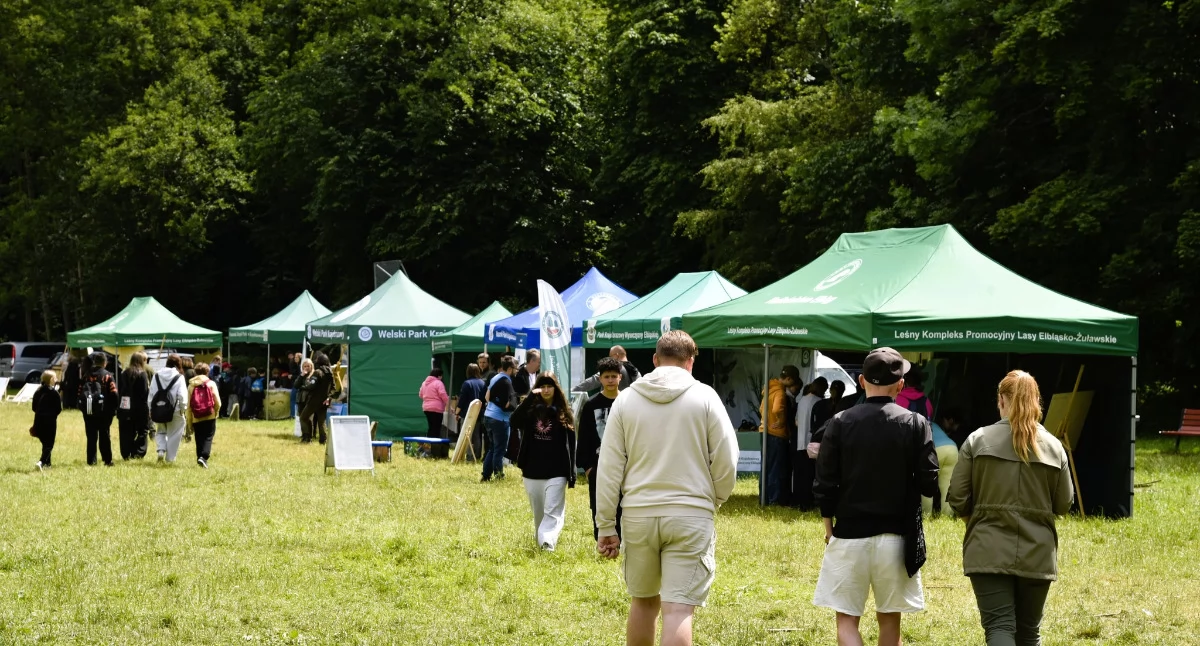   Piknik w Krainie Buka w Bażantarni [PROGRAM]