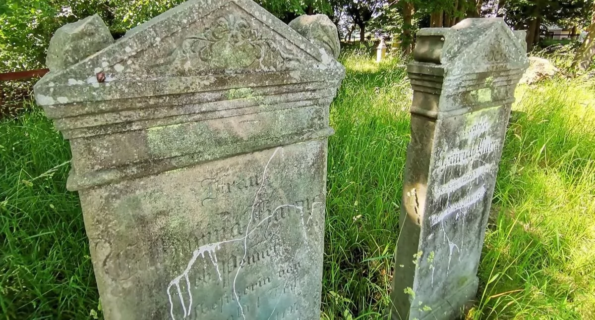 Śladami menonitów spod Elbląga [VIDEO]