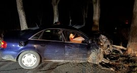 Młynary: Uderzył w drzewo i uciekł