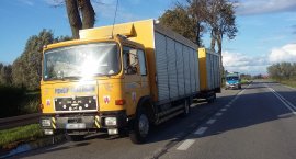 Przewoził gołębie pocztowe. Kierowca pijany, konwoje&hellip;