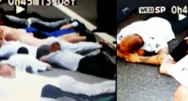 Pseudokibice chcieli bić się pod Pasłękiem. Policjan&hellip;