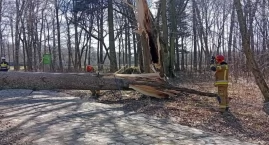 Pogoda nie odpuszcza. Alert dla Elbląga i regionu