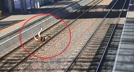 O krok od tragedii. Kobieta spadła na tory