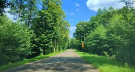Drogowcy chcą wyciąć 1,8 tys. drzew koło Elbląga