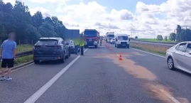 Trzy auta zderzyły się na S7. Łabędź uderzył w jadąc&hellip;