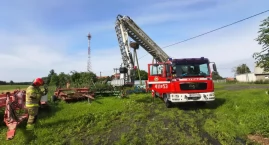 Strażacy uratowali młodego bociana