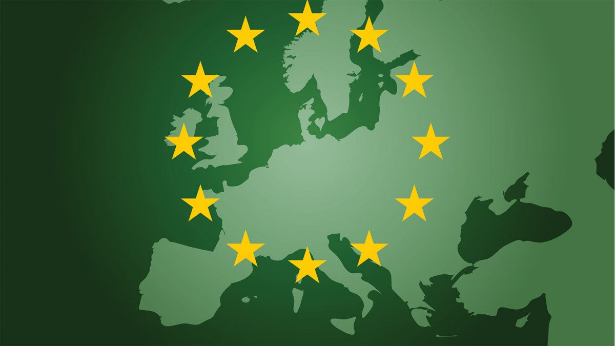 Europosłowie PiS chcą debaty w sprawie w Zielonego Ładu