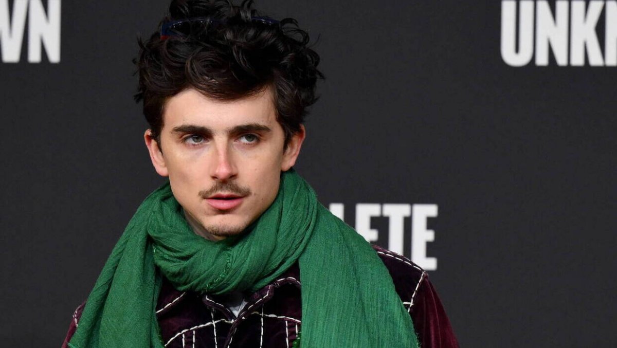 Timothée Chalamet stworzony do roli Dylana? 