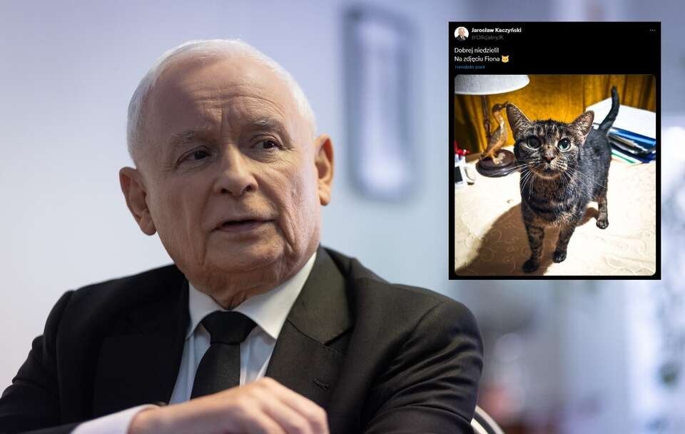 Jarosław Kaczyński pokazał zdjęcie swojego kota! Tak wygląda Fiona! Przy okazji życzył Polakom dobrej niedzieli