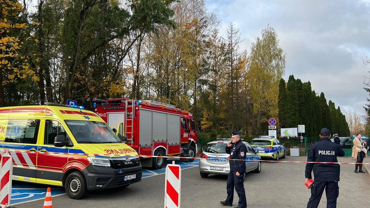 Niewybuch na Cmentarzu Łostowickim w Gdańsku. Przypomina granat F-1