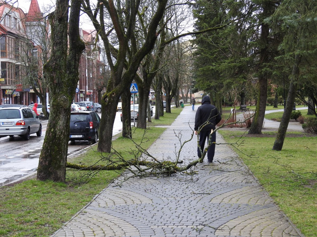 Synoptyk IMGW ostrzega. W najbliższych dniach mocniej zawieje 