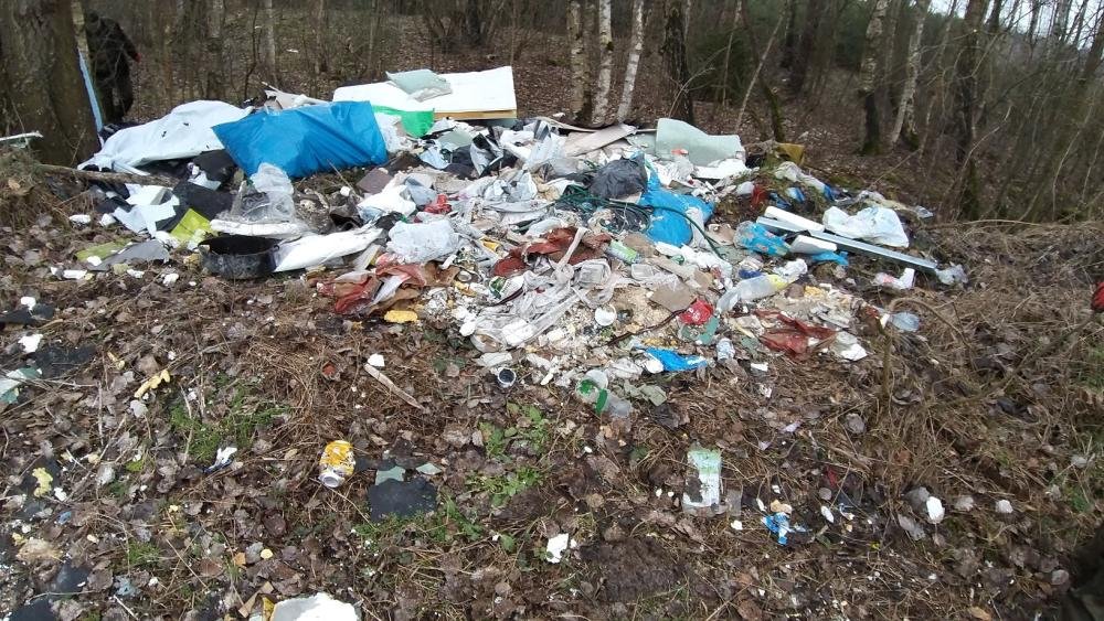 Polacy nadal wyrzucają tony śmieci do lasów. W 2023 roku sprzątanie kosztowało ponad 32 miliony złotych 