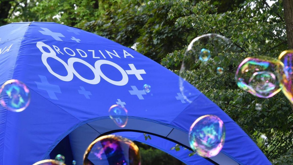 Fiasko programu 800 plus. Rząd po raz pierwszy przyznał to oficjalnie