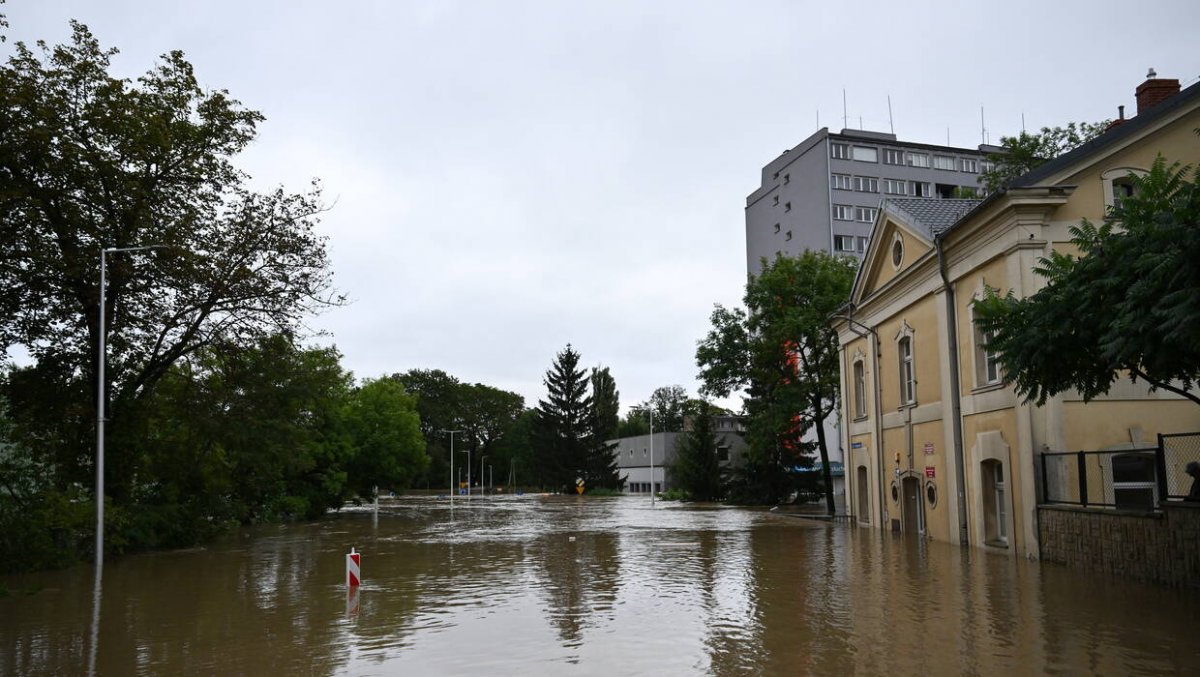 Specjalne procedury podczas klęski żywiołowej. Na czym polegają?
