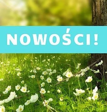 REDAKCJA POLECA: AGD do kuchni, gry i książki dla dzieci, dbamy o urodę!
