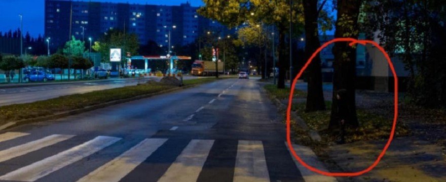 Ten eksperyment policji szokuje: Widzisz tu DZIECKO?
