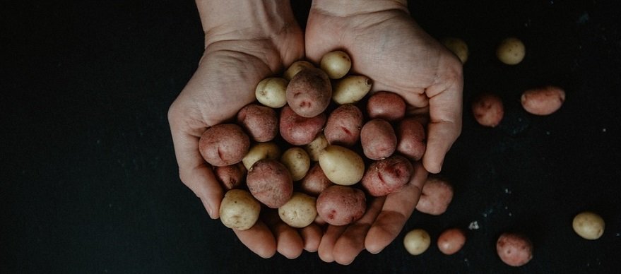 Obierki po ziemniakach: nie wyrzucaj! Zobacz, jak wykorzystać obierki z ziemniaków i być ZEROWASTE 
