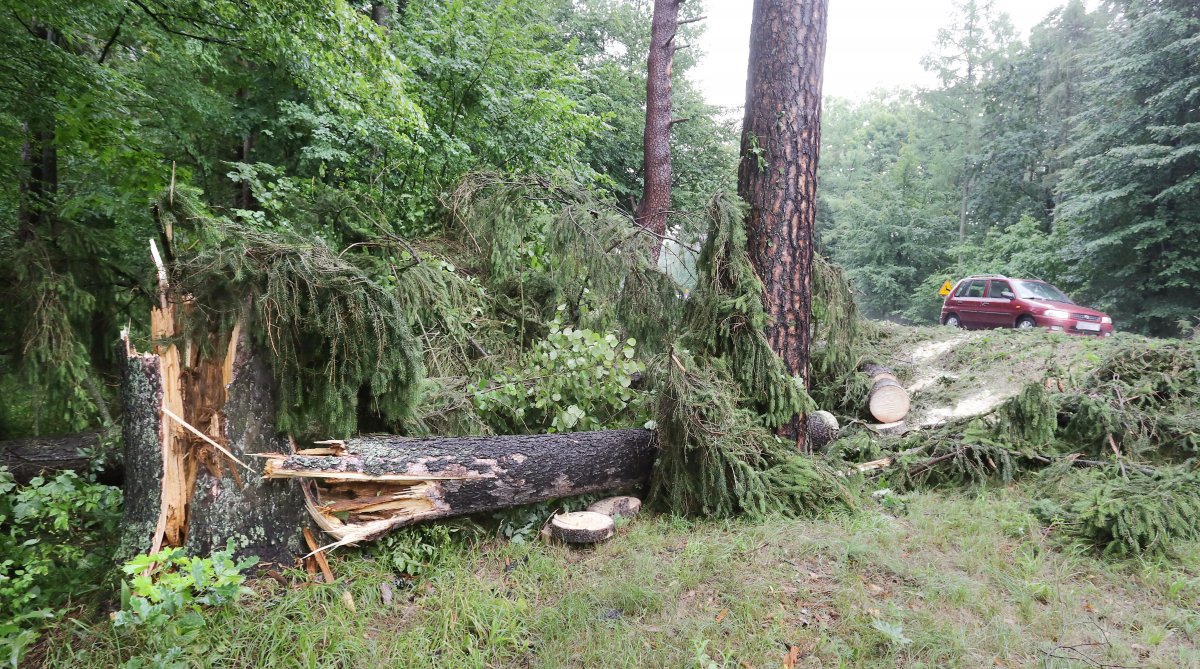 Wichury w Polsce. Prawie 6,6 tys. interwencji strażaków 

