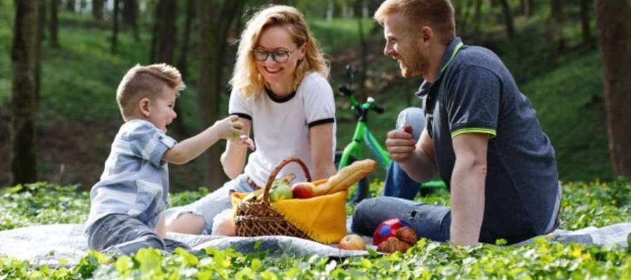 Colostrum - czyli siara bydlęca. Jakie ma zastosowanie?