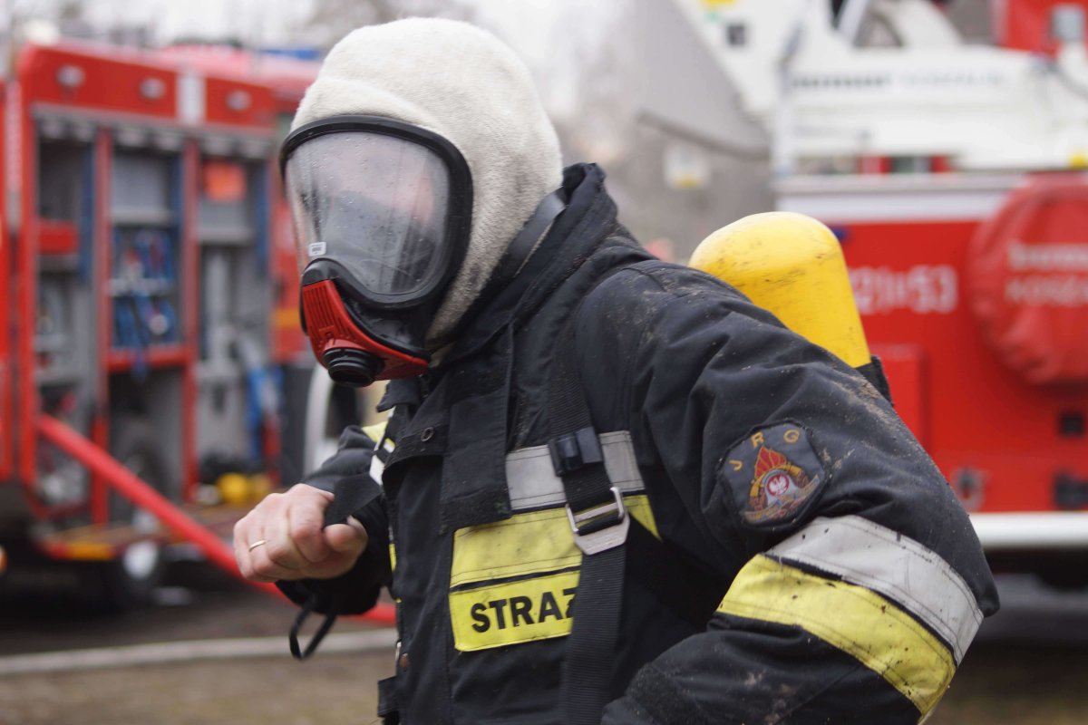 Polscy strażacy wspomogą Szwedów w gaszeniu lasów
